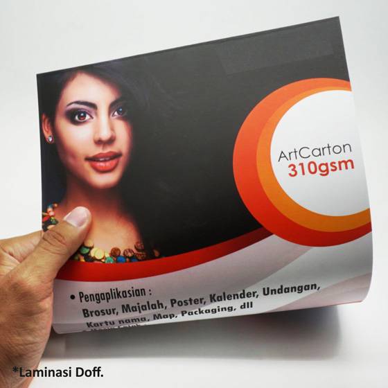 Art Carton 310 gsm A3 Plus 32 x 48 cm