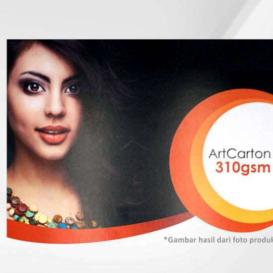 Art Carton 310 gsm A3 Plus 32 x 48 cm