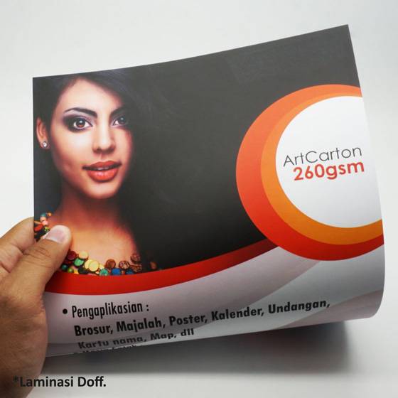 Art Carton 260 gsm A3 Plus 32 x 48 cm