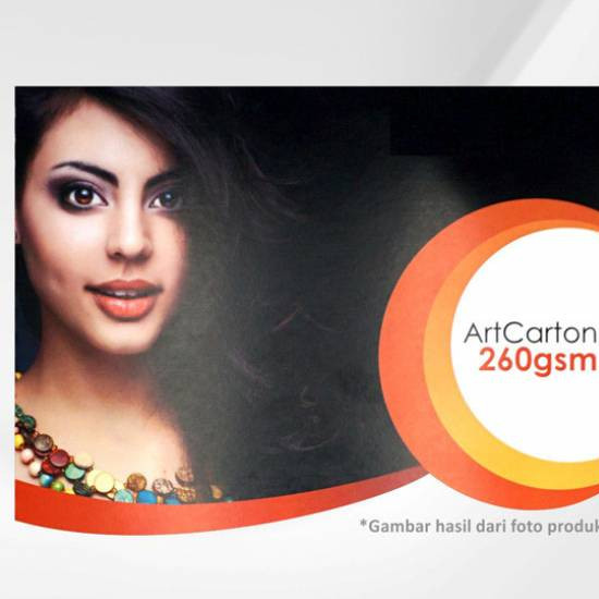 Art Carton 260 gsm A3 Plus 32 x 48 cm