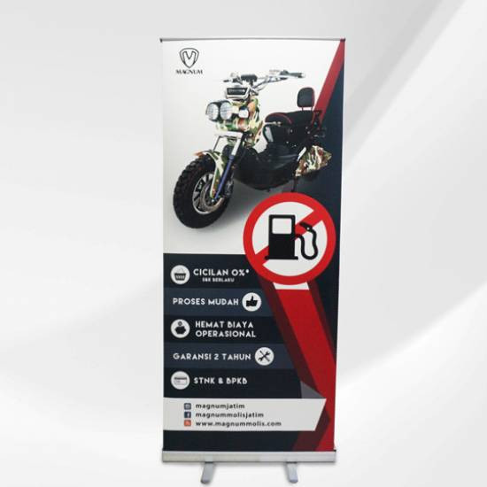 Roll Banner Albatros 85x200cm